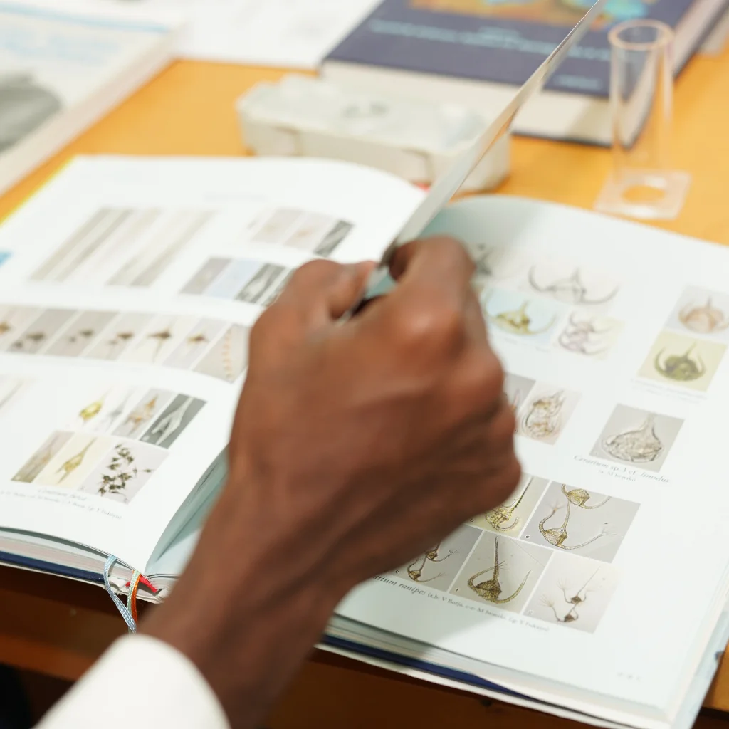 Research documentation